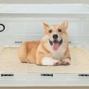 현진메디칼 이미지