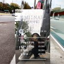 개미헤어아트 이미지