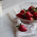 보성농원 이미지