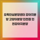 오독안심분양센터 강아지분양 고양이분양 인천점 | 오독안심분양센터 강아지분양 고양이분양 인천점 인천강아지분양