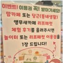 리프패럿 롯데마트 광복점 이미지