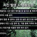 더 타이어 �� 성소점 이미지