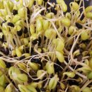 담아푸드 이미지