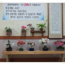사랑식당 이미지