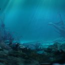 (주)블랙비어드 이미지