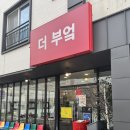 카카몽 애견미용실 | 김해 율하 애견미용ㅣ룩앳독 🐶ㅣ사랑이 느껴지는 곳 (돈 쓴 만큼 예뻐진다)ㅣ+더부엌 🍚 가희로운💈