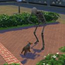 개뼈다구 이미지