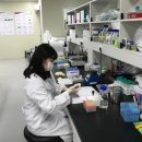 엘에스코스메틱 이미지