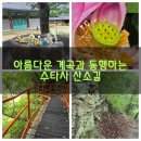 영원사 비로자나후불탱화 | (강원 홍천) 수타사 산소길