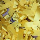 대전대신고등학교 이미지