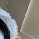 디엘프스튜디오