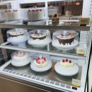 이젠, 나도 코딩 박사 이미지