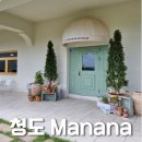 정원이 이쁜, 인스타 감성사진 찍기 좋은 청도 카페 마나나 Manana 솔직후기