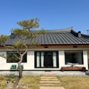 석류애견 이미지