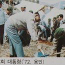 식목일담화문 Daum카페