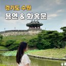 광교천 | 수원 선재업고튀어 방화수류정 용연 &amp; 화홍문 코스 솔직후기