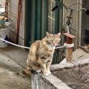 한림정형외과의원 이미지