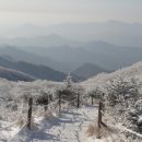 금수강산 이미지