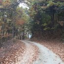 옥현농장 이미지