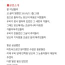 엠아이메드 네이버블로그