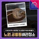 노원-현장-1544 | 공릉동 보일러배관청소 비용 노원구 다세대주택 난방안됨 (가스보일러 녹물 에어빼기)