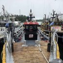 신월동010 | 2025 여수 문어금어기 해제 / 여수 문어 선상낚시 무조건 믿고가요