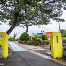 무지개가 피어나는 이미지