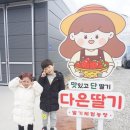 다은딸기 이미지
