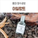 아일랑트