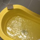 퍼플댕댕 이미지