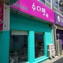 수다펫 이미지