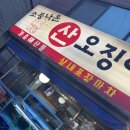 소풍나온산오징어