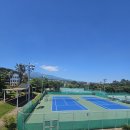 서귀포테니스장(실외) 이미지