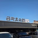 씨유제주노형행운점 | 금화효소원 제주점 방문 후기 제주 피부관리로 면역력 높이기