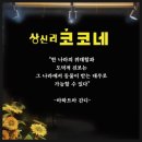 상신리코코네 이미지