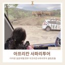 마이카존 | 후쿠오카 벳푸 아프리칸 사파리투어 후기|아이랑 다녀온 꿀팁 (유모차·투어 이용팁)