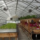 아마존PC 이미지