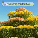 예술자연농식품 | 조금 특별한 가을 전시 "2025 진주국화작품전시회"