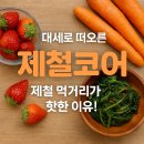 MZ가 원하는 것은 무엇인가 - Financial | 요즘 MZ가 계절에 진심인 이유 – 🍓제철코어, 촌캉스, 그리고 레트로 감성