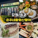 은주수산 | <강원/속초> 속초 대포항 맛집 가성비 최고! 대게와 신선한 회를 한 번에, '은주네활어' 대만족 찐 후기