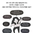메종플라워 이미지