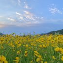 내장산숯불갈비 이미지