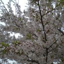 산.들.꿈농원