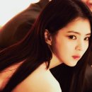 프로젝트와이 이미지