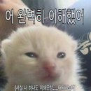 엑스케이프 강남 재방문! &lt;제3표류도&gt; 테마 추천 초보의 솔직후기.. 🌀🌀