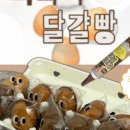 시장2구 이미지