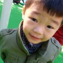 더부리공원 Daum카페