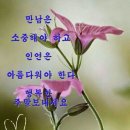 기분좋은날 - 종로구 | 기분좋은날