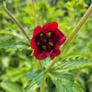 독골농장 이미지