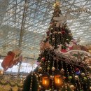 영동도서관 | 스타필드 코엑스몰 별마당 도서관 크리스마스 축제 트리 구경하고 온 후기